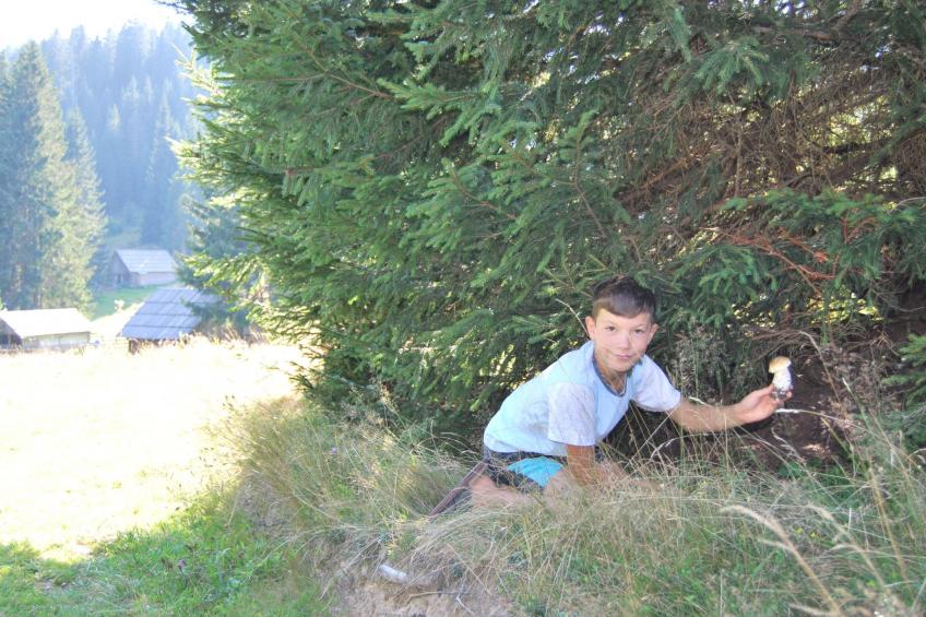 Holiday house Pokljuka - Bohinj - foto 13