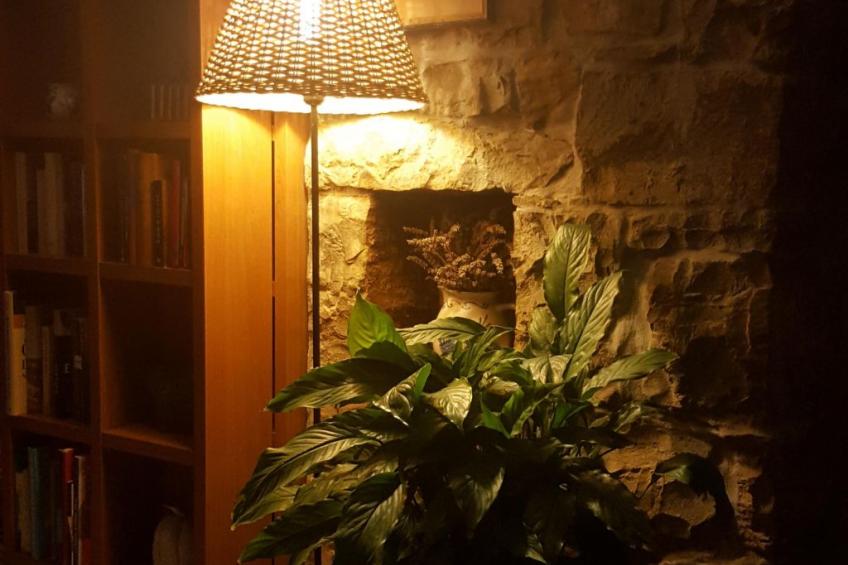 Istrisches Steinhaus - foto 15