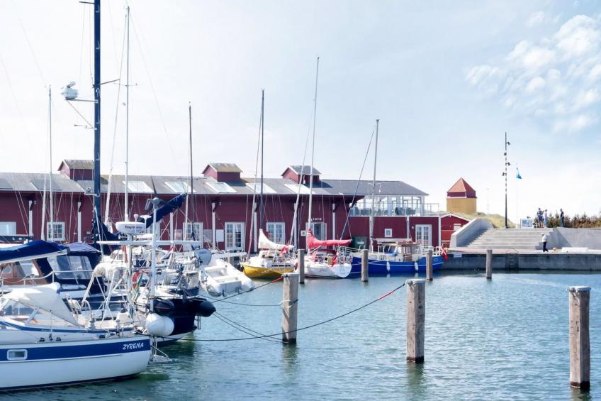 "Eluisa" - 300m from the sea in Western Jutland - foto 11