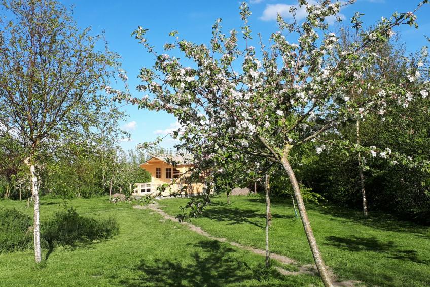 Sonnige Ferienwohnung in ländlicher Umgebung - foto 18
