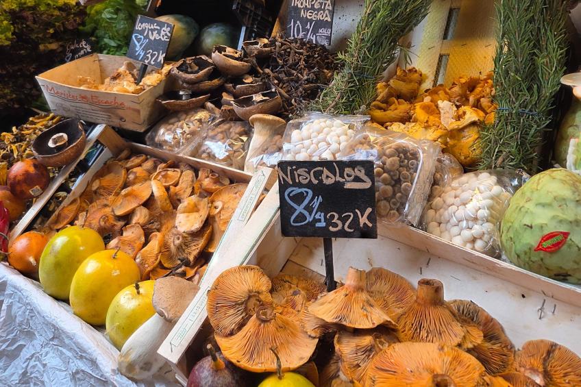 Casita Cartama - foto 24