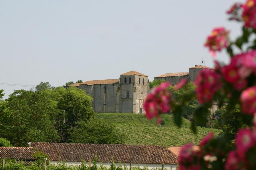 Pujols Grande - foto 23