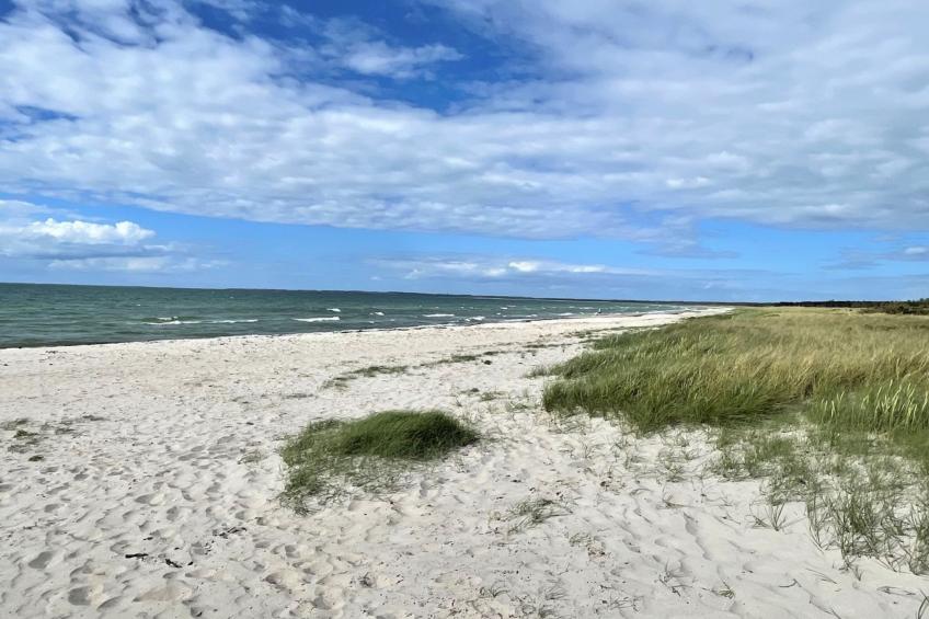 "Efka" - 175m from the sea in Sealand - foto 22