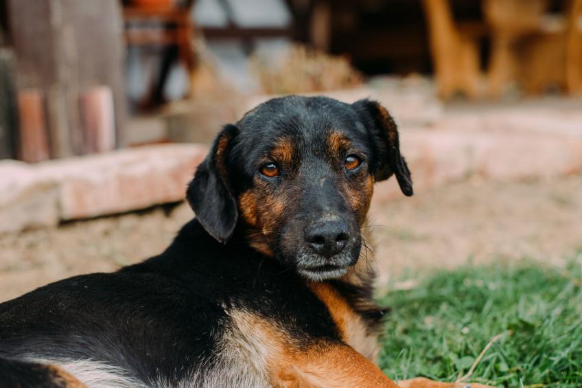 House Atar - foto 26