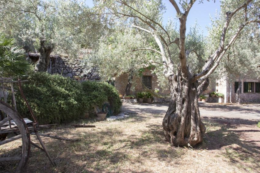 VILLA ES COCO SOLLER - foto 34