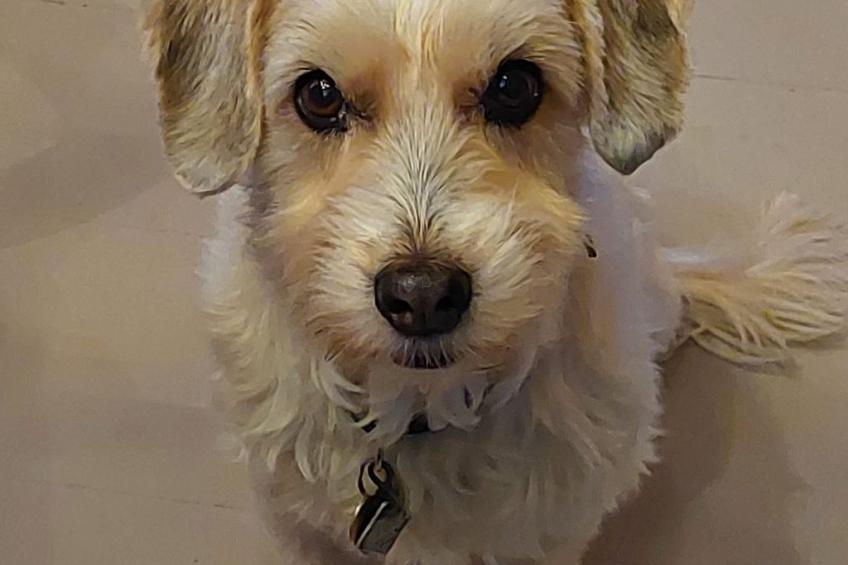 Chalet Aebnit - foto 25