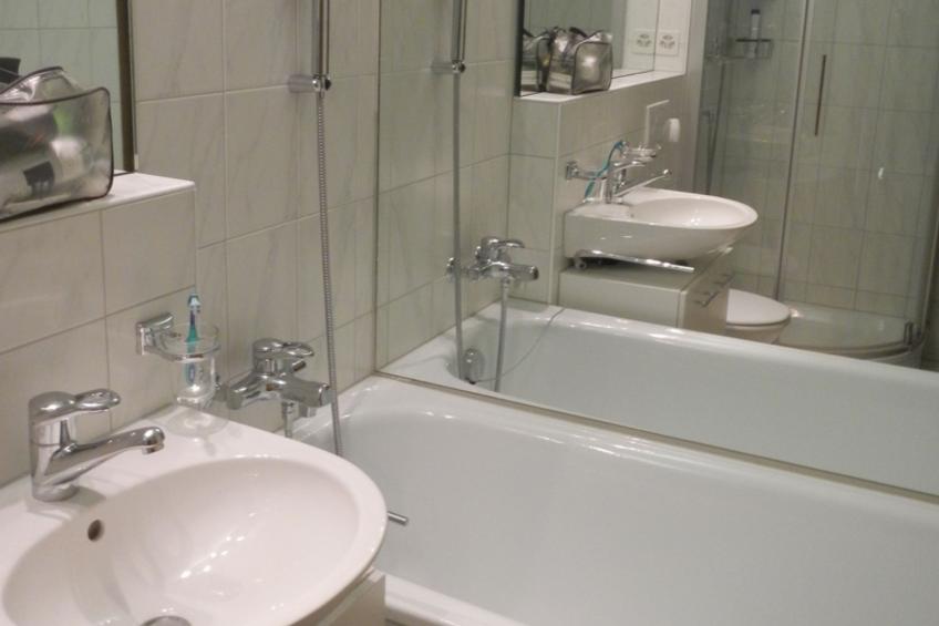 Disentiserhof Hönig - foto 13