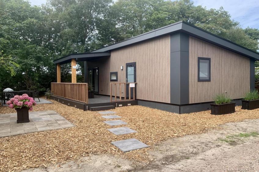 Campanula 136 - foto 22