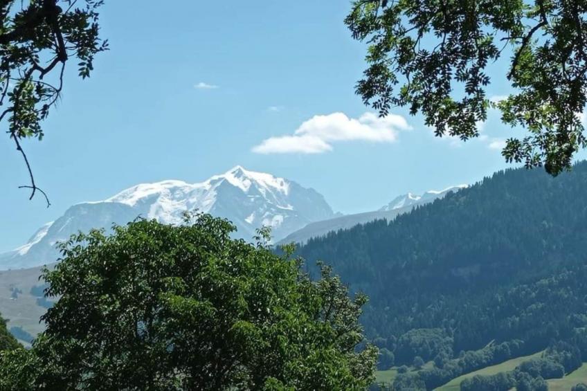 Les Portes de Megève 14 - foto 37