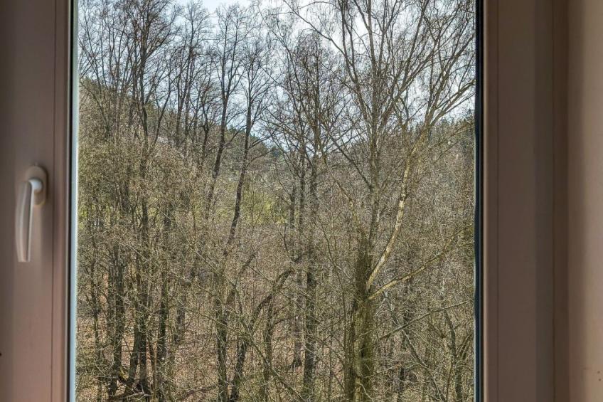 Jagd auf Ldoge - foto 31