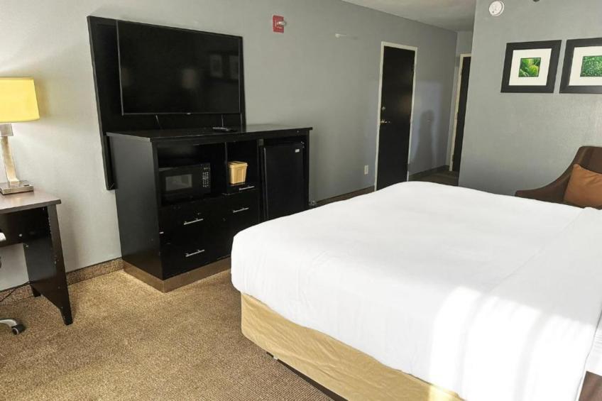 King Bed Accessible - foto 12