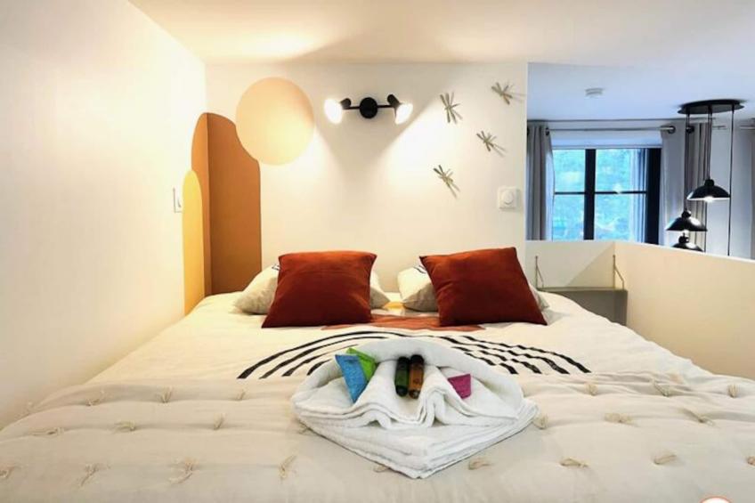 L'orient-express - Jacuzzi Spa - Parking - Loft - foto 19