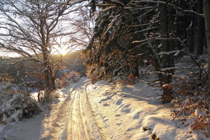 Grabenhaus - foto 39