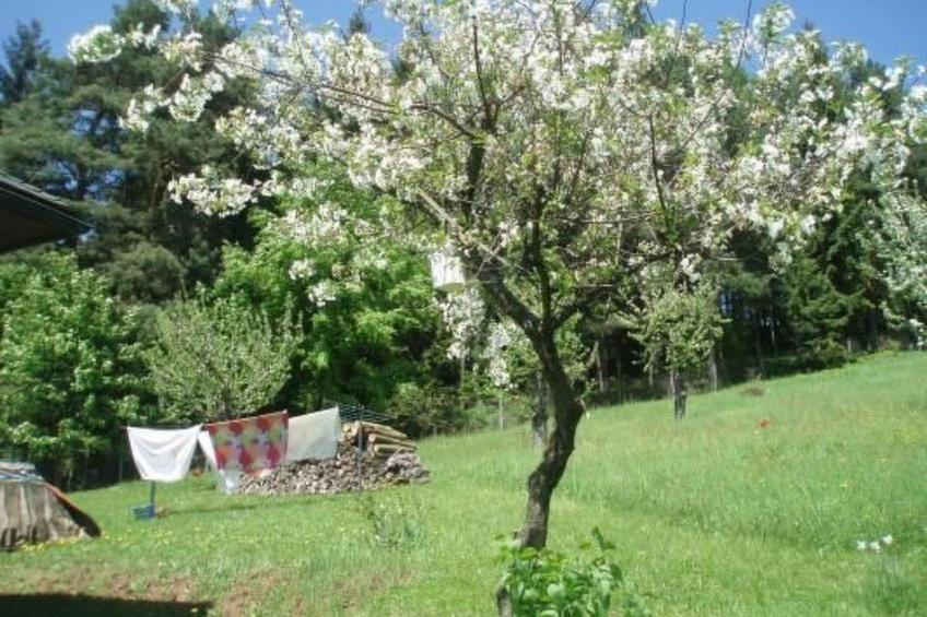 Villa "Na Hora" mit Garten, Grill und Terrasse - foto 25