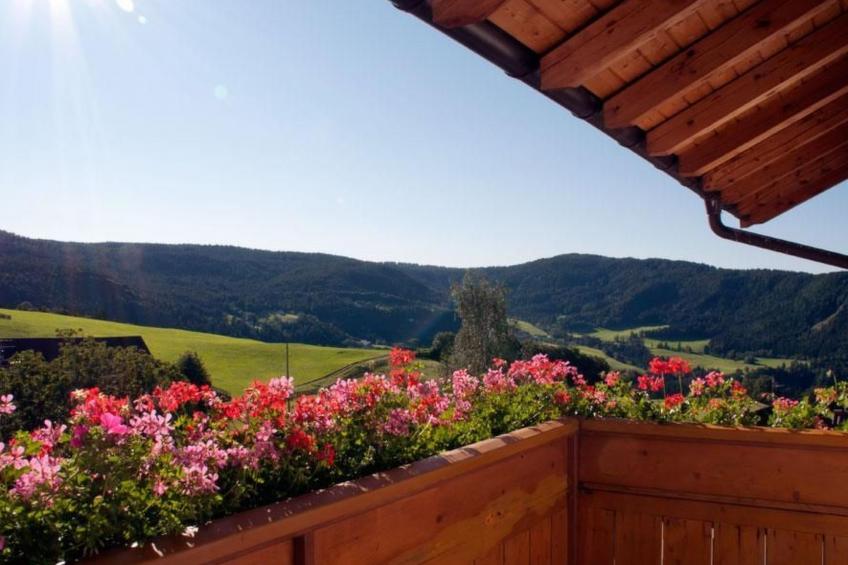 Wohnung "Mölten" - foto 8