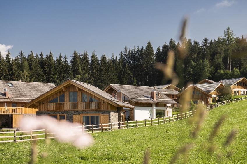 die Dorfidylle "Resi im Dorf" - foto 28