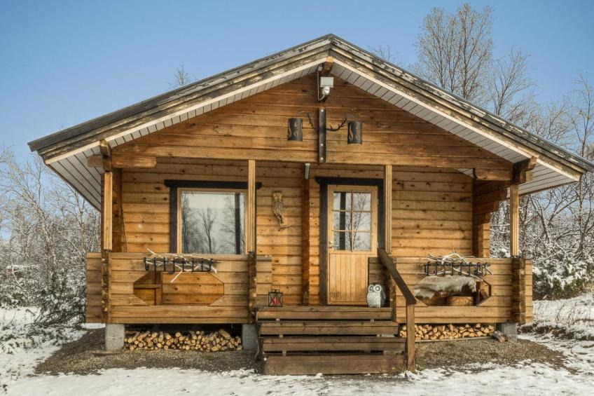 Pikkupöllö - foto 13