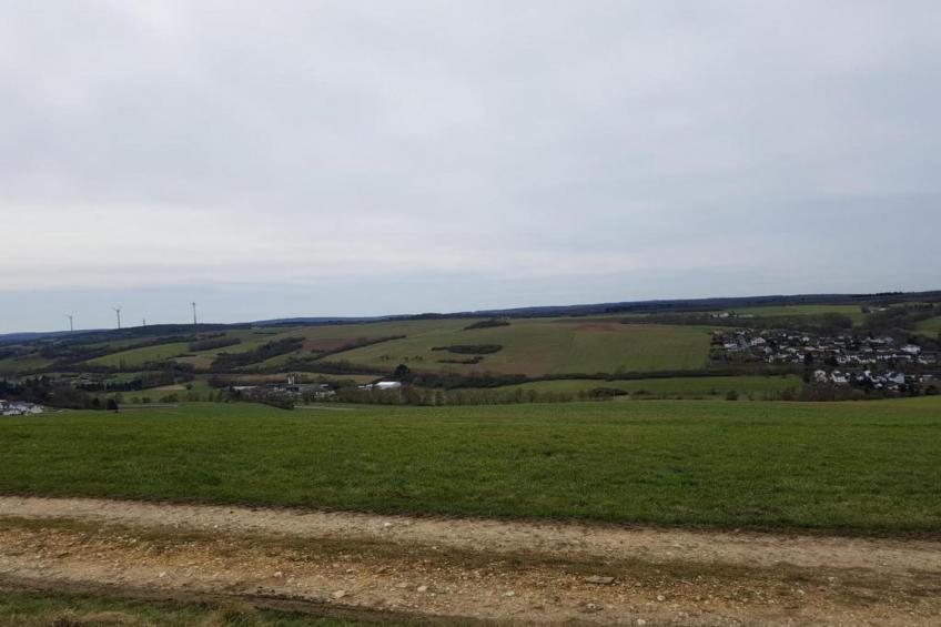 Ferienwohnung Bad Camberg im Taunus - foto 36