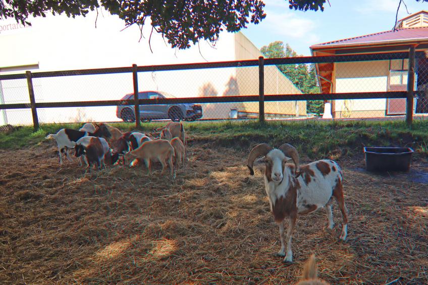 Haus Oliver 200 qm / 1-4 Personen - foto 25