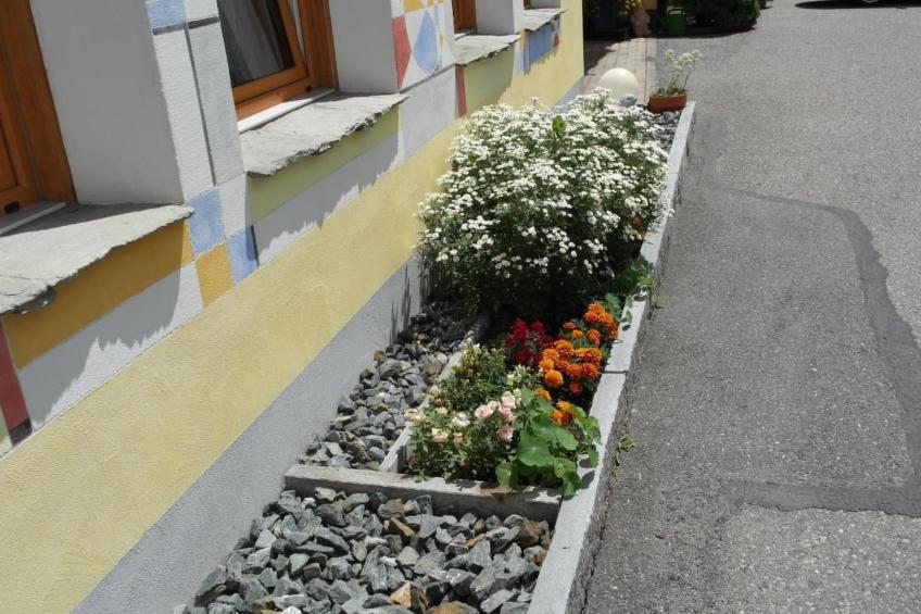 Ers Curtins - foto 13