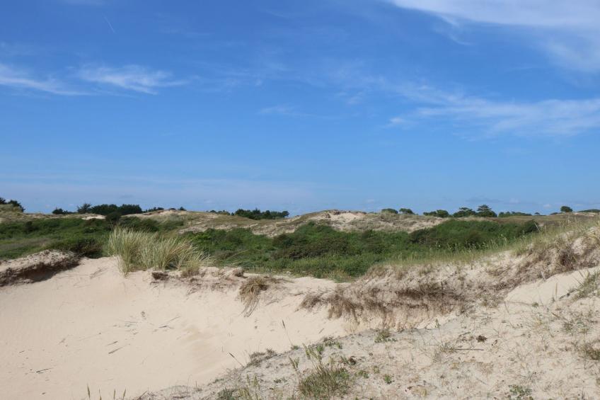 l'Escale dunes, Strände 20 Meter entfernt, Meerblick - foto 48