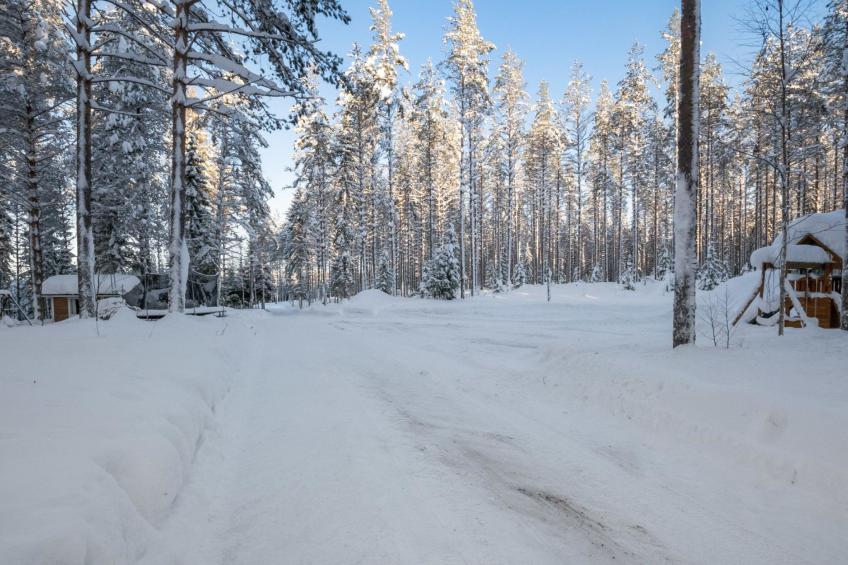 Aamunsarastus - foto 24