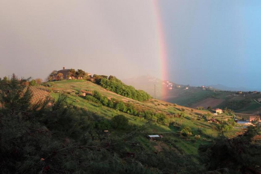 Apartment Viola - foto 34