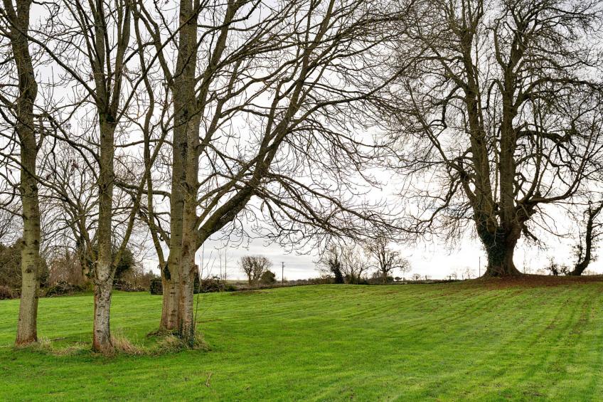 The Stables at Lilac Cottage - foto 30