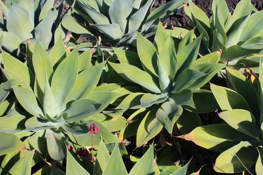 Haus La Majada - foto 28