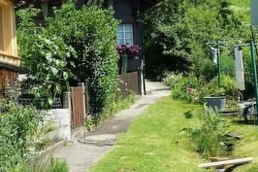 Flädermuus - foto 8