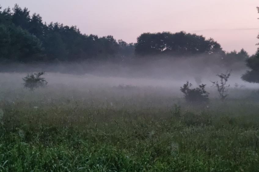 Lublewo21 Ferienhäuser - foto 32