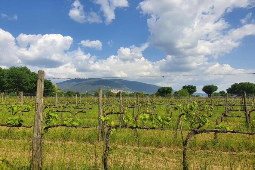 Appartamento 4 persone - foto 35