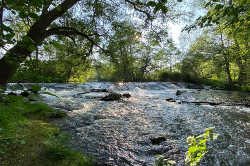 Ballenstedt - foto 25