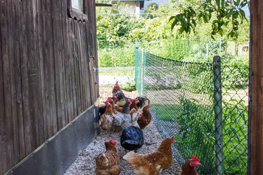 Cozy Holiday Home with Garden, BBQ, and Outdoor Dining Area in Rečica ob Savinji - Two Bedroom Apartment - foto 22