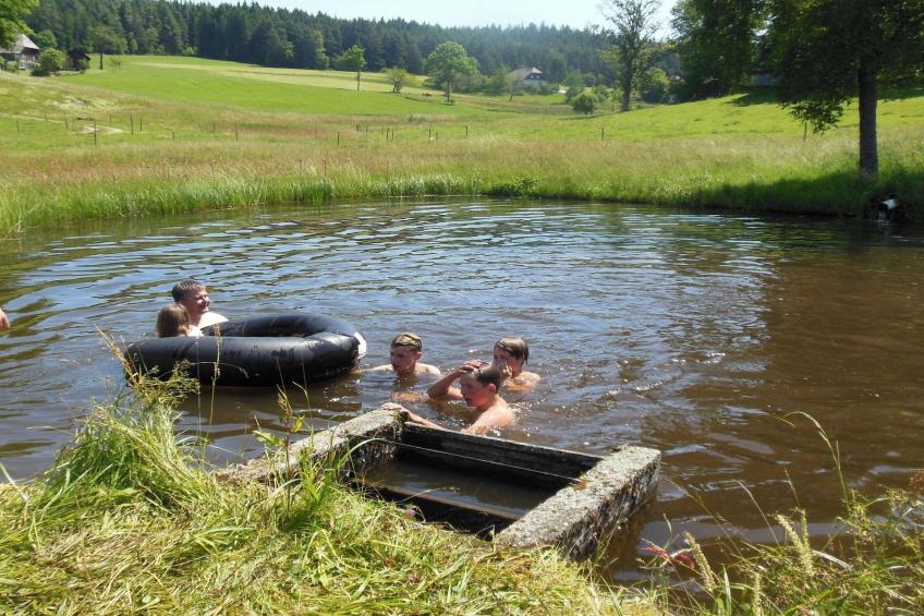 Zuckerbauernhof Weideblick - foto 29