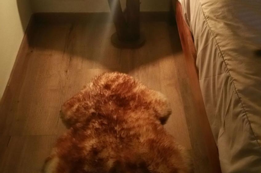 Appartement 'Borredà' mit Kaminofen - foto 43