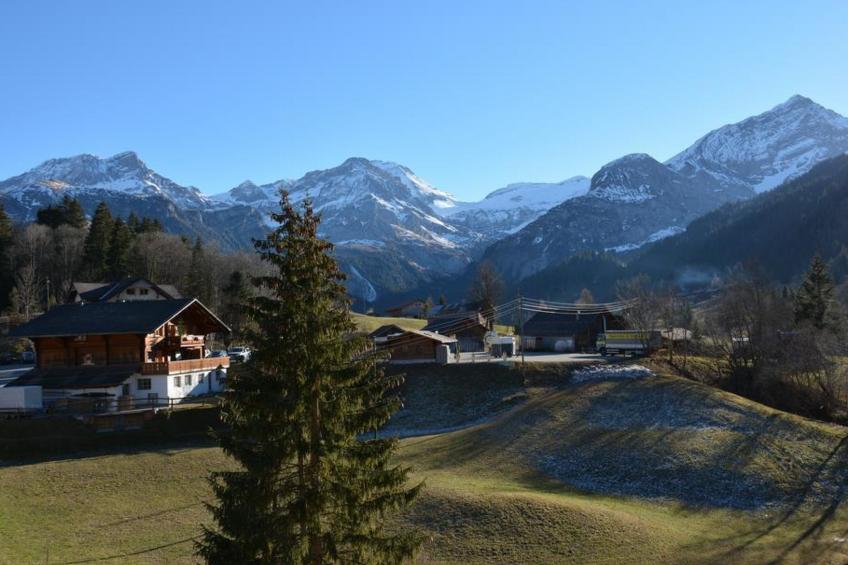 Marmotte, Chalet Appartement/Fewo, Dusche, WC 4-Bettwohnung - foto 12