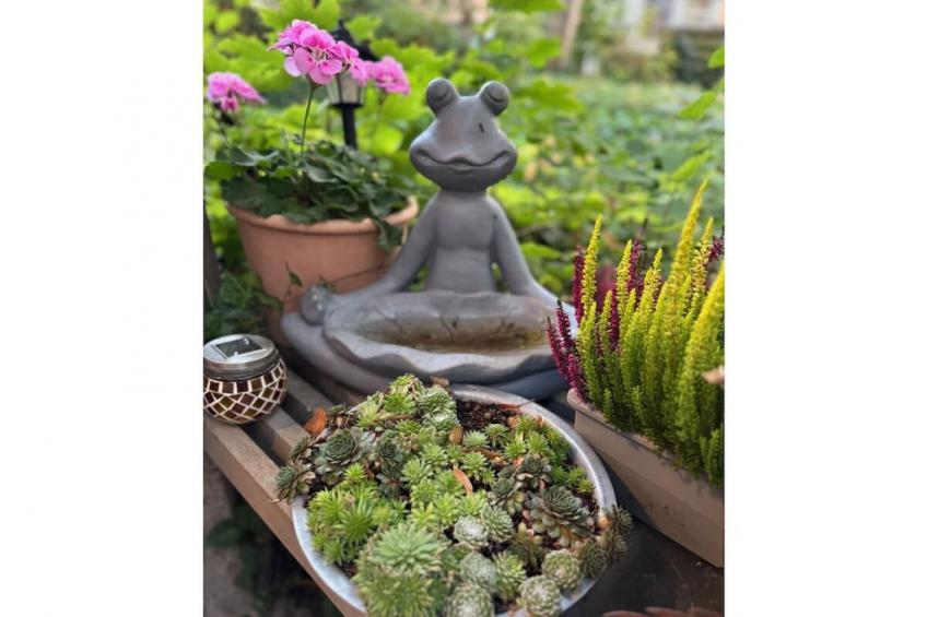 181241 - foto 5