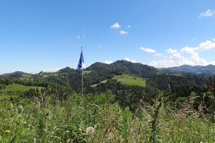 Haus am Sternsberg - foto 13