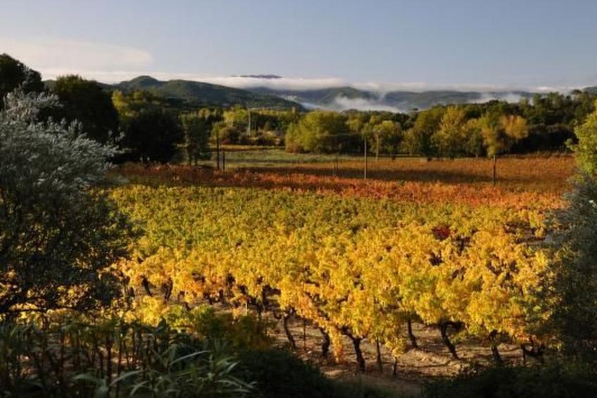 "Haus der Olivenbäume" - foto 30