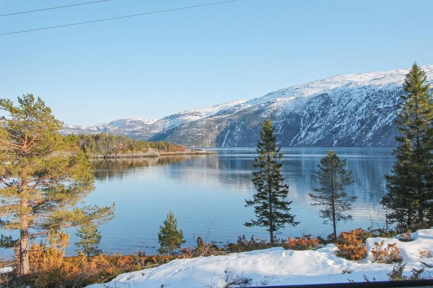 ÅRFJOR - foto 12
