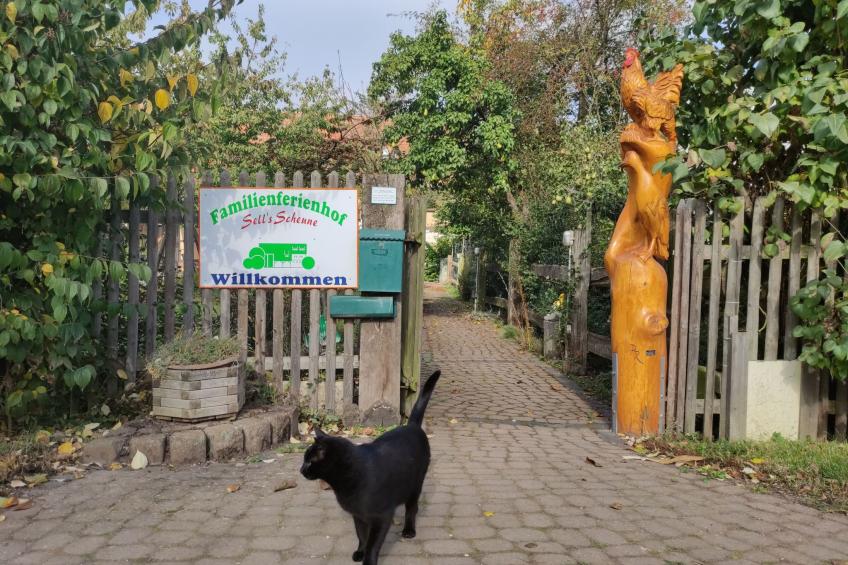 Garten-Ferienwohnung - foto 19