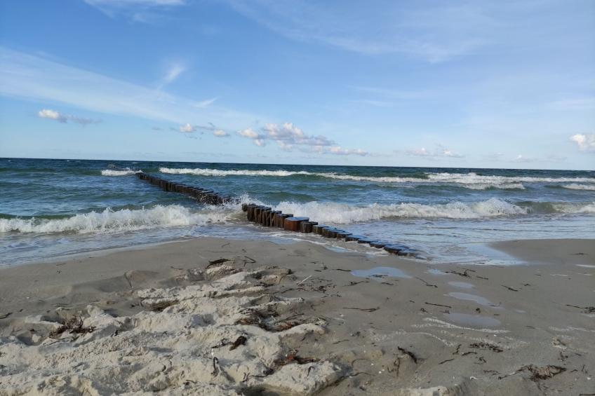 Janet Ratschkowski - foto 49