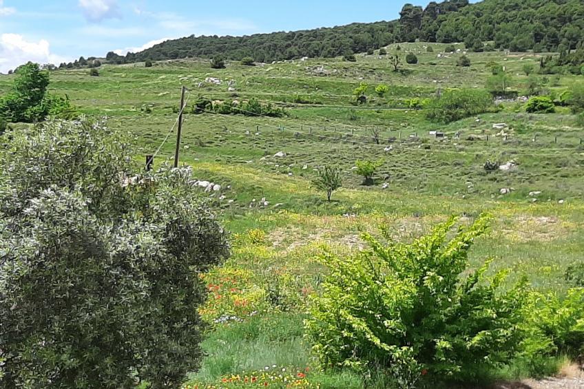 Weingut "Garnacha de Borja". - foto 35