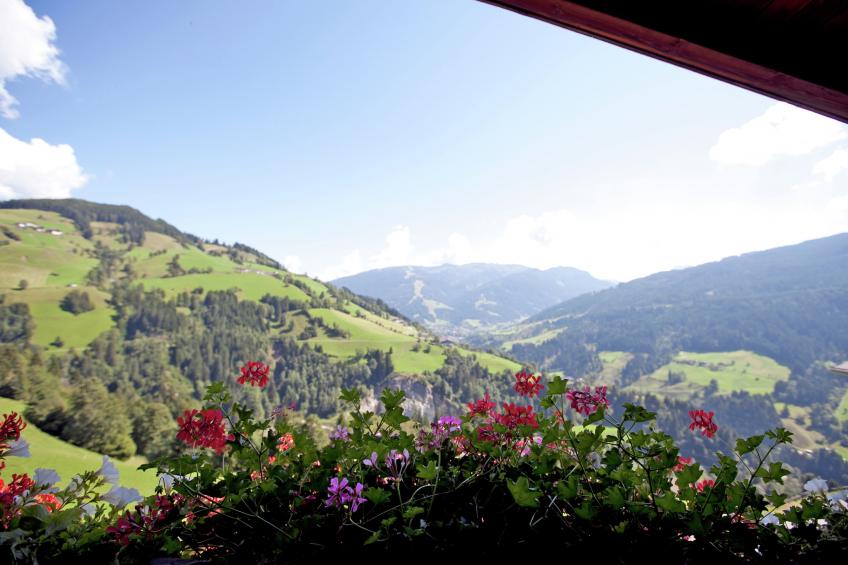 Durchholzhof - foto 20