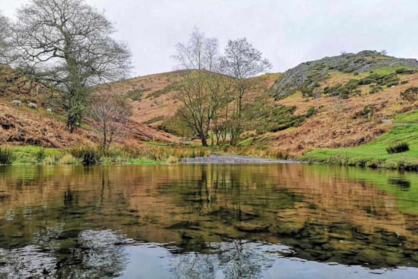 Netley Hall - Honeysuckle - foto 20