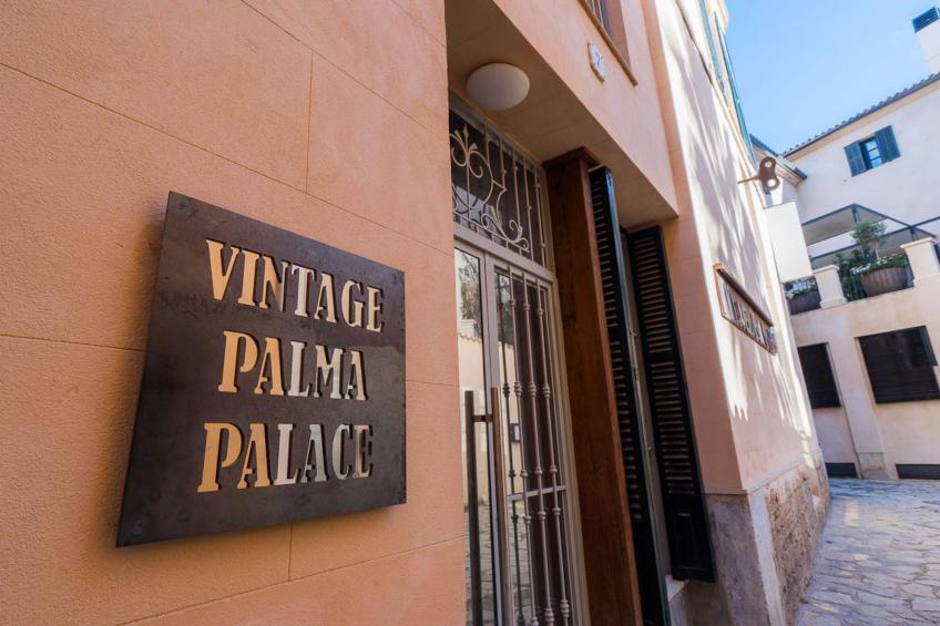 VINTAGE PALMA PALACE (SUPERIOR 3) TI/200 - foto 12