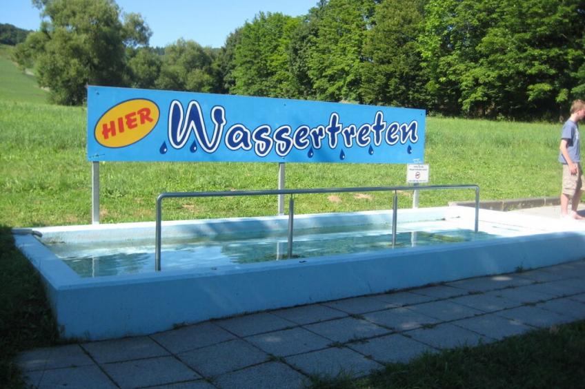8101 - foto 17