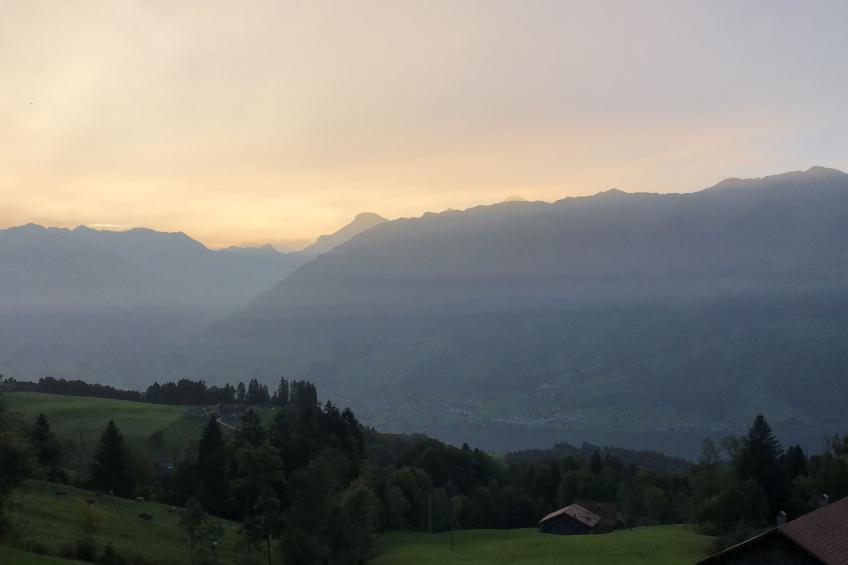 Sunny retreat - foto 14