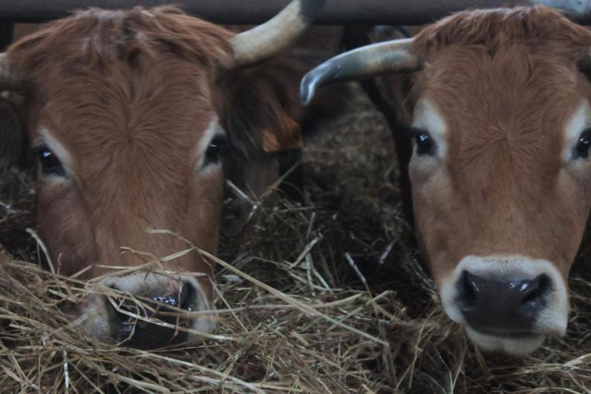 Das Landgut "Casina della Sughera". - foto 25